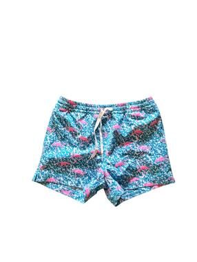 Chubbies Big Boys Mingos Swim Trunks Size 8/9